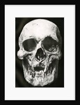 Robert the Bruce's skull by unknown