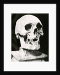 Robert the Bruce's skull by unknown