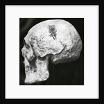 Robert the Bruce's skull by unknown