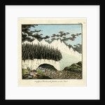 Breiðamerkurjökull glacier by Friedrich Eduard Müller