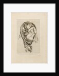Foetus in the womb by Jean-Baptiste Michel