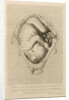 Foetus in the womb by Henry Bryer