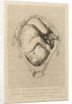 Foetus in the womb by Henry Bryer