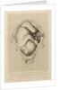 Foetus in the womb by Henry Bryer
