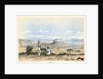 Mount Worsnop by Henry Charles Prinsep