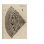 ‘Elm branch’ by After Nehemiah Grew