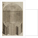 ‘Vine branch’ by After Nehemiah Grew