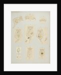 Rotifer by Charles Thomas Hudson