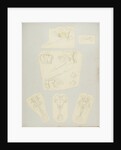 Rotifer by Charles Thomas Hudson