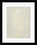 Rotifer by Charles Thomas Hudson