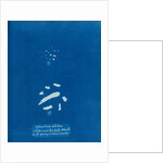 Sphacelaria velutina by Anna Atkins