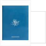 Rhodomela scorpoidies by Anna Atkins