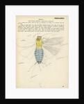 Insect structure by Henry Hallett Dale