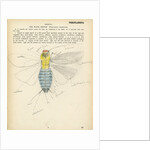 Insect structure by Henry Hallett Dale