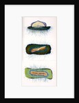 Sea raft by A Meissel