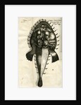 Angler by unknown