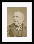 Portrait of William Ewart Gladstone (1809-1898) by Elliott & Fry