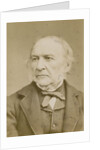Portrait of William Ewart Gladstone (1809-1898) by Elliott & Fry