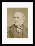 Portrait of William Ewart Gladstone (1809-1898) by Elliott & Fry