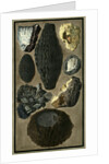 Rock specimens by Pietro Fabris