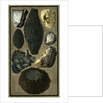 Rock specimens by Pietro Fabris