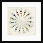 ‘Complementary combinations’ by Thomas Kell