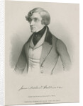 Portrait of James Orchard Halliwell Phillipps (1820-1889) by W L Walton