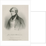 Portrait of James Orchard Halliwell Phillipps (1820-1889) by W L Walton
