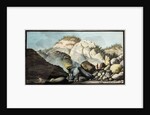 Pisciarelli spring by Pietro Fabris