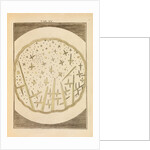 Crystals in urine by Martin Frobene Ledermuller