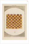 A piece of taffeta by Martin Frobene Ledermuller