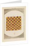 A piece of taffeta by Martin Frobene Ledermuller