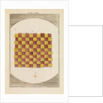 A piece of taffeta by Martin Frobene Ledermuller