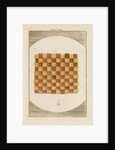 A piece of taffeta by Martin Frobene Ledermuller