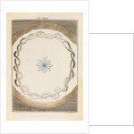 Coral salt by Martin Frobene Ledermuller