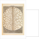 Pear leaf structure by Martin Frobene Ledermuller