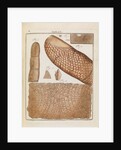Human skin by Adam Wolfgang Winterschmidt