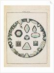 Alum crystals by Adam Wolfgang Winterschmidt