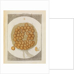 Carp ovary by Adam Wolfgang Winterschmidt