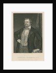 Portrait of August Wilhelm Hofmann (1818-1982) by Cook