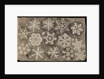 'Figures observ'd in snow' by Robert Hooke