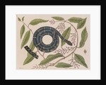Kingsnake by Mark Catesby