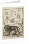 Lion by Richard Waller