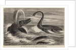 Ichthyosaur and plesiosaur by Unknown artist