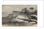 Teleosaurs and hylaeosaur by Unknown artist