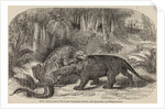 Iguanodon and megalosaurus by Unknown artist