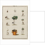 Coffee by Adam Wolfgang Winterschmidt