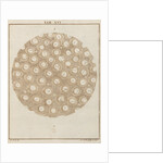 Bullrush by Adam Wolfgang Winterschmidt