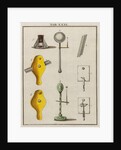 ‘Ancient’ microscopes by Adam Wolfgang Winterschmidt