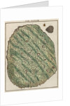 Gold specimen by Adam Wolfgang Winterschmidt